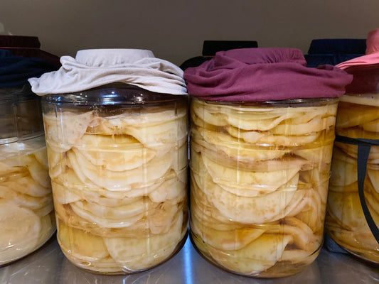 Everything You Need to Know: SCOBY Hotel Maintenance